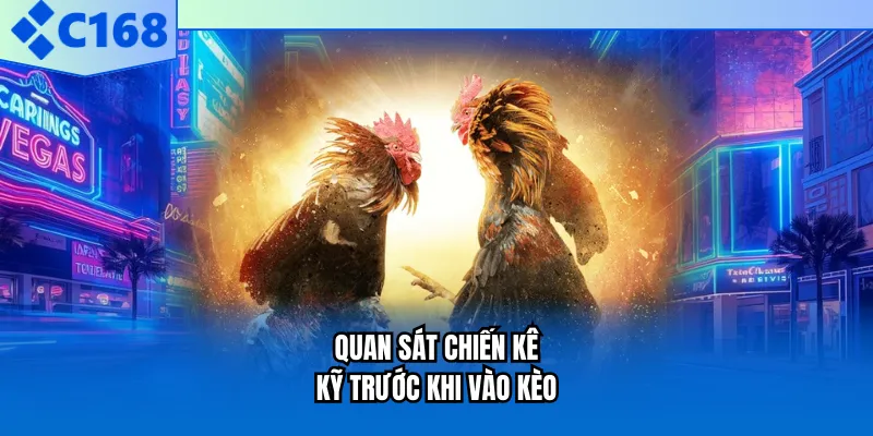 Quan sát chiến kê kỹ trước khi vào kèoQuan sát chiến kê kỹ trước khi vào kèo
